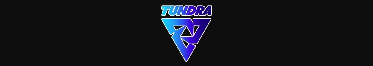 PSG.LGD Defeated by Tundra in ESL One Fall Grand Finals